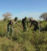 kasigau-rangers - Copy