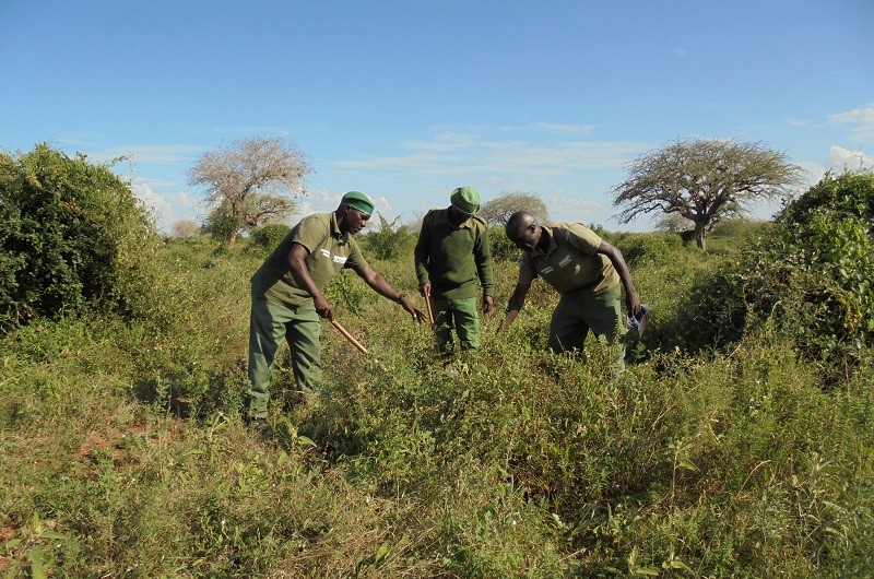 kasigau-rangers - Copy